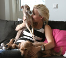 GREYHOUND AND FRIENDS