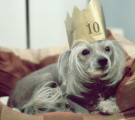 Yeah Roope, it’s your birthday!