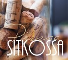 PARASTA PIZZAA METSÄSTÄMÄSSÄ